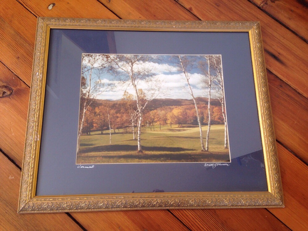 Vermont Autumn Fall Foliage Birch Tree Mountains Gilt Framed Matted Photograph