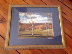 Vermont Autumn Fall Foliage Birch Tree Mountains Gilt Framed Matted Photograph