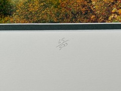 Jay Steinke Hungry Jake Lake Fall Leaves Minnesota Signed Photo Matted 19×16