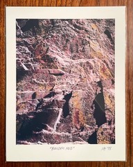 Original photographic print “Boulder Moss” by Michael Blumenstock