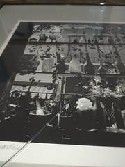 Johnny Donnels Glass Window Garden Signed New Orleans Photo Cracked Glass w/ Bio
