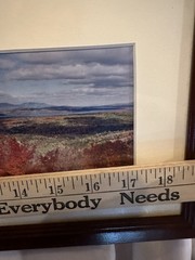 Photographic Landscape 180• View Rangely Maine By Scott Perry Signed Framed