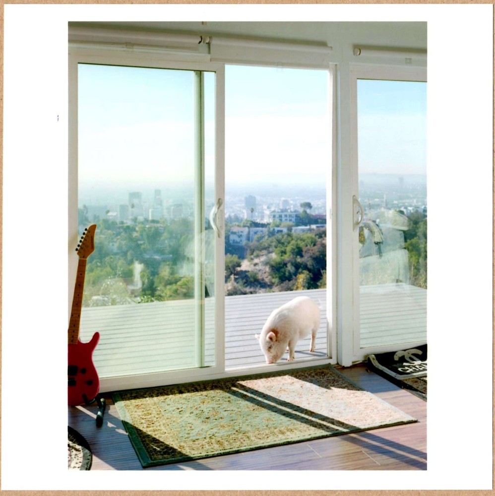 SIGNED ALEC SOTH BANKSY HOLLYWOOD HILLS CA 2017 LTD 6 x 6 MAGNUM PRINT
