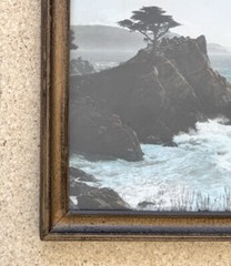 Lg Vtg Hand Tinted Oil Colored Photo Coastal Cypress Trees 12.75”x15.75” VG