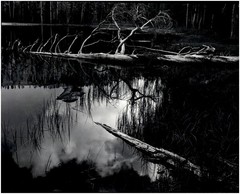 1934 1990s Ansel Adams Evening Cloud Ellery Lake Sierra Nevada Large Art Photo