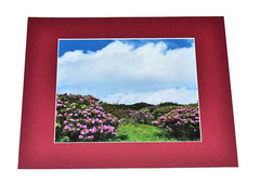 “Craggy Gardens, NC” by American Artist LENG 1/1 Signed Photograph Proof