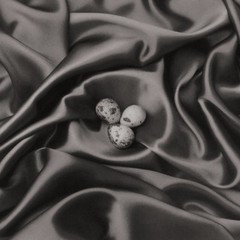 DOMINIC ROUSE Fine Art Gelatin Silver Photograph Birds Nest on Silk Ltd Edition