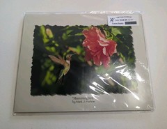 Hummingbird Pro Lab Frame Ready 8×10 Print By Mark J. Harlow 100 Year Archival