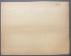 Antique GEORGE W KIRK Stimson Mill MASSIVE Cedar TREE Everett Washington PHOTO