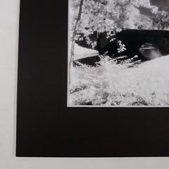 Black Mat Photo Landscape Park Infrared Photography Bridge Trees Art Print