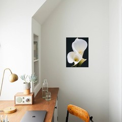 ART.COM Canvas Wall Art Prints White Calla Lilies by Jamie & Judy Wild, Botan…