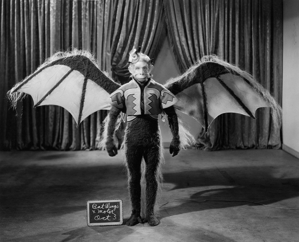 Wizard Of Oz Flying Monkey Photo 8.5×11