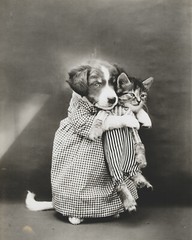 cat kitten kitty art print Harry Whittier Frees 8×10 vintage photo picture #18