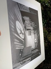 Elliot Erwitt Black And White Print