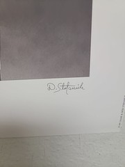 Two Signed 8×10” b&w photograph Calla lilies follower By D Stefanich 8×20 1997
