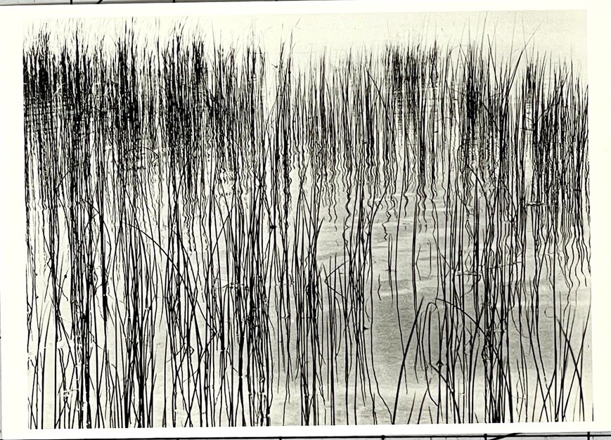 DETROIT, 1941 – PHOTOGRAPH BY HARRY CALLAHAN – Fotofolio Art Photo Card