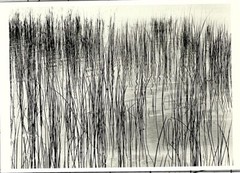 DETROIT, 1941 – PHOTOGRAPH BY HARRY CALLAHAN – Fotofolio Art Photo Card