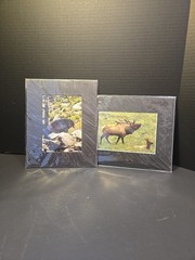 Jim Parker Knives Photography Color Prints 6×4 Wildlife Bear Deer Matted 8×10