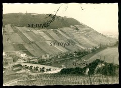 Bingen 1950s Photo 10x7cm