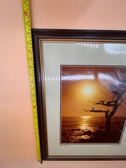 Karl Bonfert Signed 35mm Photograph Framed Vintage Art CA 22.5×18.5
