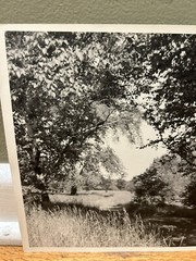 Arthur Gray Standard Oil Photographer Cleveland Ohio Americana Woodland Path Wow