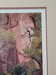 “Co-Op Creek” by Rick Preston 1988 #3, matted and signed,NO FRAME.