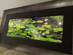 Peter Lik “Awaken” Limited Edition, Framed, Signed Photograph! #141/950 WITH COA