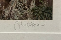 RARE Original 1983 JOHN SEXTON ‘Stone Markers, Narita JAPAN’ Signed COLOR PHOTO