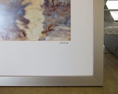 Framed Photography Print of Abstract Arizona Desert Saguaro Cactus in Reflection