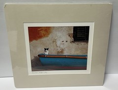 John And Debora Scanlan AP Italy Cat Photograph Print With COA Signed Numbered