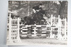 Film Photo France Equestrian Horse Show Jumping 1970 30X40CM