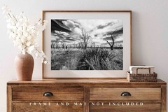 Southwest Photography Print – Mesa Verde Colorado Landscape Black and White
