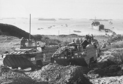 WWII US FIFTH ARMY BEACHHEAD AT ANZIO TANKS 1944 Enhanced Photographic Reprint