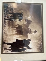 Fine Art Western Photography Signed Framed Blk & White Authentic Ranch Photo