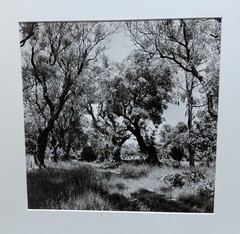 GERMAN PHOTOGRAPHER WILLY MAYWALD – SIGNED, TITLED & DATED GELATIN SILVER PRINT