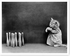 1914 Kitten Cat Dressed In Clothes Bowling Silver Halide Photo
