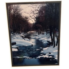 Winter Nature Landscape Scene Signed Photograph Artwork by Sam Pathi Framed