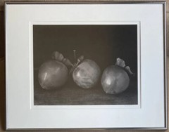 1991 John Youngblood Art Photo Black & White Mounted Photograph Still Life Fruit