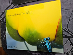 DODGEZEN MOMENTS IN TIME EDITION MY PHOTOGRAPHS PRINTED ON GLASS. INSPIRATIONAL