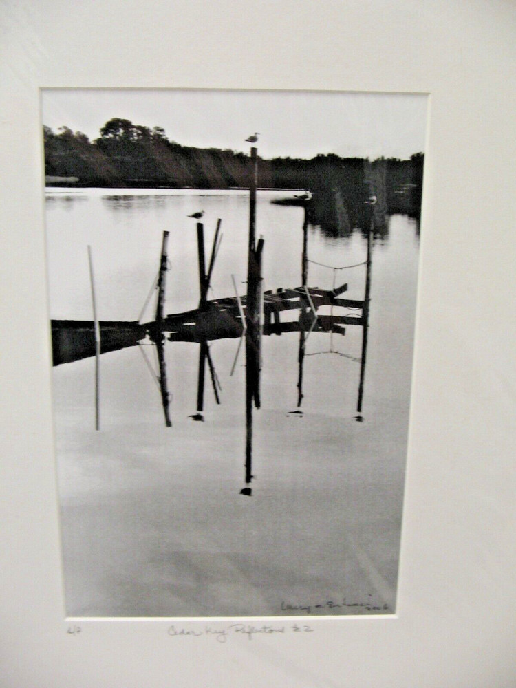 ART PHOTOGRAPHY 16×20 Cedar Key Reflection B&W Matte Acid Free by Larry Santucci