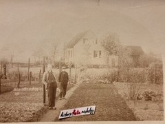 🏞️Bundle 6 Photos ~40-50s Farmers Village Life Field Women Men Device SW ~9×13