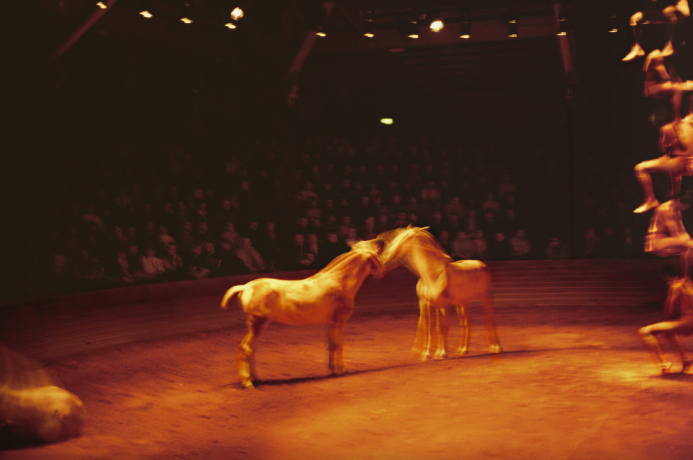NAN GOLDIN – Horse Circus (2025) signed limited edition photograph