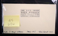 Boris Starosta 3D Stereoview – Maia C 411 – nude model signed 2012