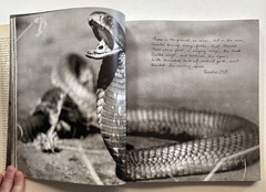 PETER BEARD SIGNED The End of the Game 1977