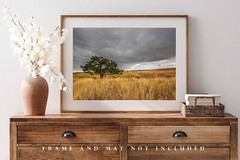 Badlands Photography Print | Lone Tree Picture | South Dakota Landscape Wall Art