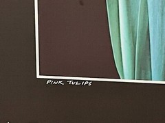 NICK ZUNGOLI Vintage 1981 “Pink Tulips” Signed & Framed- 18 x 24″
