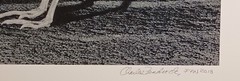 Original Large Format Black & White Photo Quail Skeleton by Charles Fendrock