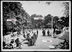 Vichy, Auvergne, Cars, Glass Plate Photos, Lot Of 5 Negatives 13X18 CM