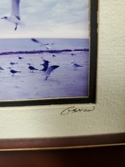 Barry Gamow Framed Double Matted Signed Photograph Sea Gulls Beach Seashore