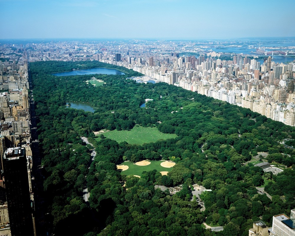 Aerial view of Central Park, New York 8″x10″ Photograph Print 8×10